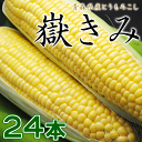 送料無料 嶽きみ 24本セット ※青森産、だけきみ、とうもろ...