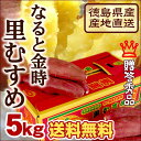 【送料無料】なると金時里むすめ 5kg秀箱入 人気のMまたはLサイズが選べます【徳島県鳴門市里浦産】【楽ギフ_包装】【楽ギフ_のし】お歳暮/敬老の日/暑中御見舞/残暑御見舞/お中元/