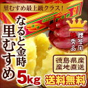 送料無料 最上級ランク特秀 なると金時里むすめ 5kg 箱入...
