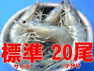 天使の海老 標準サイズ20尾小分け(規格:30/40)