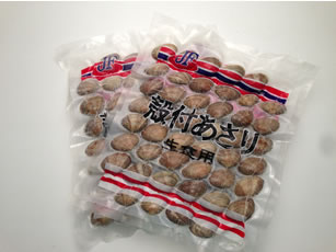 アサリ(殻付きアサリ) 1Kg 80〜120粒入り...:tokushou:10000296