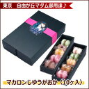 自由が丘マダム御用達♪マカロンじゆうがおか 10ヶ入【2014年5月31日頃までの出荷】【ラッピング済みの為ギフト包装紙不可】【macaron】【マカロン】