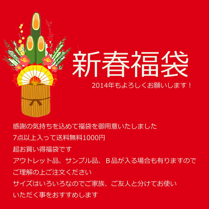 7点以上入ります！新春福袋　レディースウエア福袋送料無料いろいろはいって超お得 FT2014年もよろしくお願いします！どんどん詰め込みます