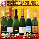 【送料無料】第84弾!ベスト・オブ・スパーク!当店厳選!高級クレマンも入った極旨泡ばかりの辛口スパークリングワイン6本セット!