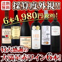 【送料無料】第114弾!採算度外視の謝恩企画!当店厳選!特大感謝の大満足赤ワイン6本セット!
