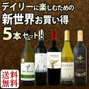 【送料無料】新世界満喫セット第6弾!とにかくコスパの高いワインを集めたスタッフ厳選5本セット!