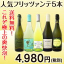 【送料無料】第22弾!これぞ極上の爽快泡!当店厳選!爆発的人気フリッツァンテ5本セット!
