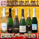 【送料無料】第94弾!ベスト・オブ・スパーク!当店厳選!高級クレマンも入った極旨泡ばかりの辛口スパークリングワイン6本セット!