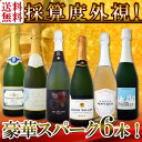 【送料無料】第101弾!ベスト・オブ・スパーク!当店厳選!高級クレマンも入った極旨泡ばかりの辛口スパークリングワイン6本セット!