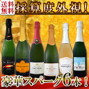 【送料無料】第102弾!ベスト・オブ・スパーク!当店厳選!高級クレマンも入った極旨泡ばかりの辛口スパークリングワイン6本セット!