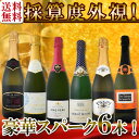 【送料無料】第110弾!ベスト・オブ・スパーク!当店厳選!高級クレマンも入った極旨泡ばかりの辛口スパークリングワイン6本セット!