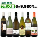 白ワイン セット 【送料無料】第99弾!特大感謝の厳選フランス白ワインセット 6本!