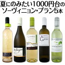 【送料無料】満点5つ星獲得ワインも入って、夏にのみたい1000円台のソーヴィニョン・ブラン厳選5本!
