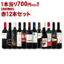 【送料無料】1本あたり700円(税別)!採算度外視の大感謝!厳選赤ワイン12本セット