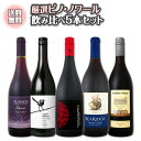 【送料無料】ピノ好き集まれ!当店独自ルートで輸入したチリ・ピノも!デイリー・ピノ・ノワール5本セット!