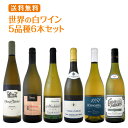 【送料無料】世界の白ワイン・オンパレード!毎日飲んでも飲み飽きない5品種6本セット!