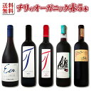 【送料無料】ワイン醸造の理想郷、チリのオーガニックワイン5本セット!