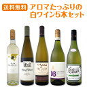 【送料無料】超お買い得!アロマたっぷりの白ワイン5本セット!