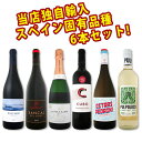 【送料無料】ぜ~んぶ当店独占輸入!スペイン固有品種を知るならこの6本!スペインおうちバル6本セット!