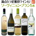 【送料無料】満点5つ星獲得ワインも入って、爽快さわやかなソーヴィニョン・ブラン厳選5本!!