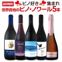 【送料無料】ピノ好き集まれ!デイリーからデートシーンまでいつでもどこでもピノ・ノワール!