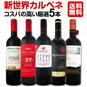 【送料無料】カベルネ好き必見!ワンランク上の新世界カベルネ・ソーヴィニョン厳選5本!