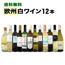 【送料無料】第80弾!超特大感謝!≪スタッフ厳選≫の激得白ワインセット 12本!