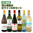 【送料無料】第112弾!採算度外視の謝恩企画!当店厳選!特大感謝の大満足白ワインセット 6本!