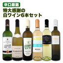 ワインセット 【送料無料】第113弾!採算度外視の謝恩企画!当店厳選!特大感謝の大満足白ワインセット 6本!
