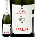 ヴィノ・スプマンテ・ブリュット・クレアート・イン・イタリア【イタリア】【白スパークリングワイン】【750ml】【辛口】 お中元 お歳暮 御中元 御中元ギフト 中元 中元ギフト お酒