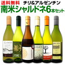 【送料無料】デイリー・シャルドネの決定版!向上目覚しいチリ・アルゼンチンのシャルドネ6本セット!