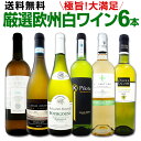 ワイン 【送料無料】第122弾!当店厳選!これぞ極旨辛口白ワイン!『白ワインを存分に楽しむ!』味わい深いスーパー・セレクト白6本セット