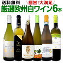 ワイン 【送料無料】第126弾!当店厳選!これぞ極旨辛口白ワイン!『白ワインを存分に楽しむ!』味わい深いスーパー・セレクト白6本セット