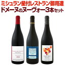 ボジョレー 【新酒先行予約11月21日以降お届け】【送料無料】すべてミシュラン星付レストラン御用達ドメーヌのボジョレー!すべて格上ヴィラージュ・ヌーヴォー3本セット!