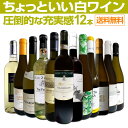 【送料無料】当店オススメばかりを厳選したちょっといい白ワイン12本セット!