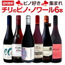 【送料無料】ピノ好き集まれ!品質向上目覚しいチリ・ピノ6本!