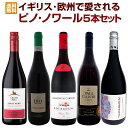 【送料無料】ピノ好き集まれ!イギリス・欧州で愛されるピノ・ノワール5本セット! お中元 お歳暮 御中元 御中元ギフト 中元 中元ギフト お酒