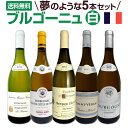 【送料無料】厳選ブルゴーニュ白ワイン5本セット!!