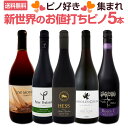 【送料無料】ピノ好き集まれ!新世界のお値打ちピノ5本セット!