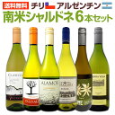 【送料無料】デイリー・シャルドネの決定版!向上目覚しいチリ・アルゼンチンのシャルドネ6本セット!