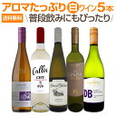 【送料無料】超お買い得!アロマたっぷりの白ワイン5本セット!