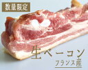 生ベーコン (パンチェッタ) ベーコン <フランス産> 【約350-450g】【\400/100