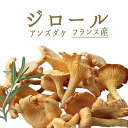 ジロール ジロール茸 (アンズダケ アンズ茸)フレッシュ girolles <ヨーロッパ産>【250g】【冷蔵品】