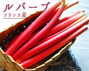 ルバーブ rhubarb 西洋野菜 ジャムやタルトに<フランス> 【300g】 【\320/100g再計算】