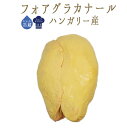 【フレッシュ 冷蔵】フォアグラカナール(鴨)foie gra...