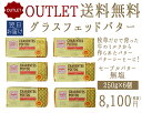 送料無料【OUTLET 訳あり】冷凍 フランスバターセーブル...