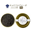 【送料無料 あす楽】キャビア セブルーガ<フランス産>【50...