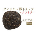 【季節限定】フレッシュ 秋トリュフ エクストラ トリュフ <イタリア産>【100g