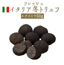 【送料無料】フレッシュ 冬トリュフ (黒トリュフ) エクスト...