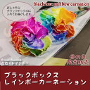 【早割】4/29 23:59まで 終了後3600円 母の日ギフト ブラックボックスレインボーカーネーション 選べる花色 沖縄配送不可 ランキング上位商品 楽ギフ_包装 楽ギフ_メッセ入力 レインボーカーネーションは東京フラワー